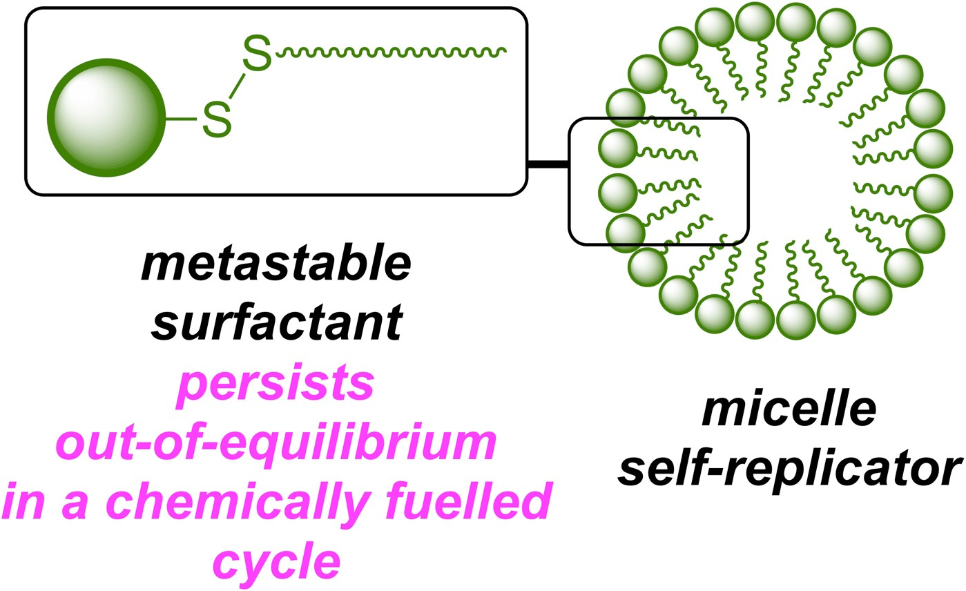 A Chemically Fuelled Self-Replicator