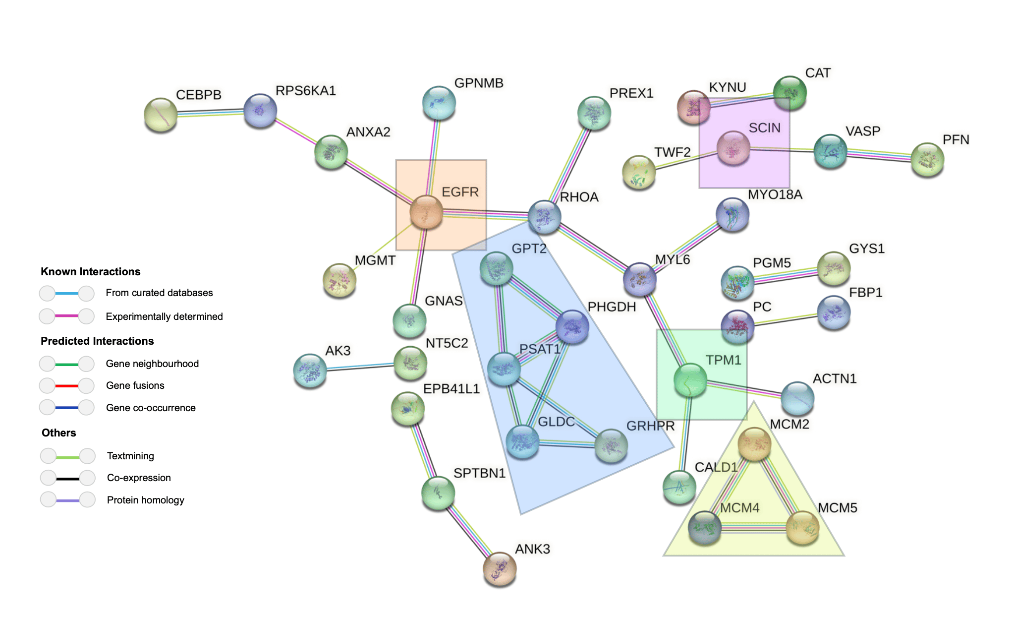 A Multi-Omics Approach to Uncovering Drug Resistance in HER2-Positive Cancer