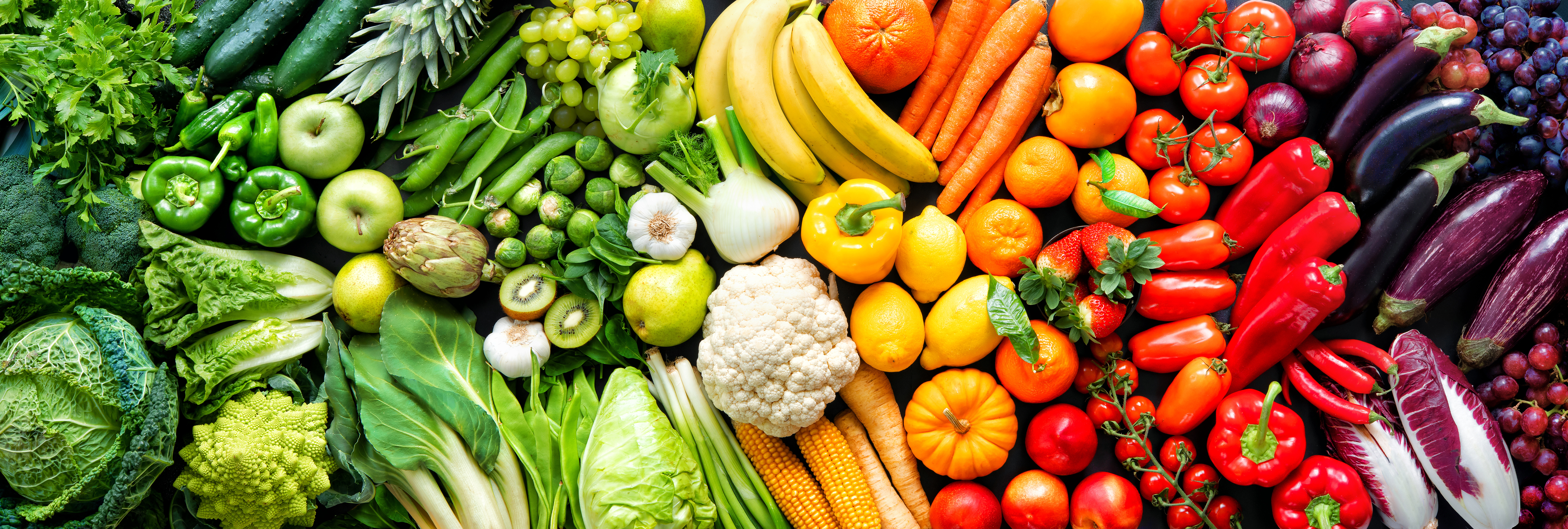 Building Resilience through Sustainable Food Environments and Diets