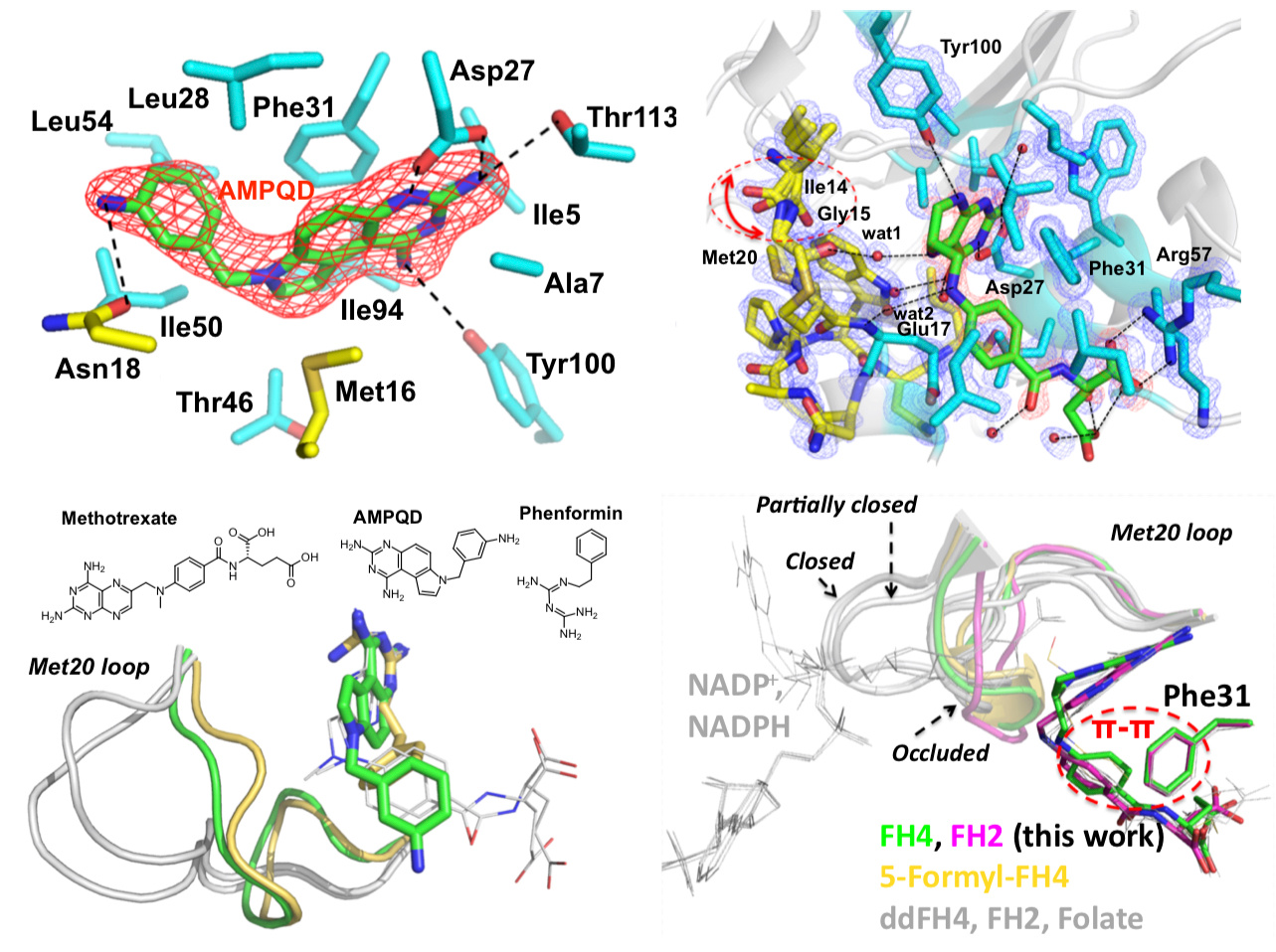 Fresh DHFR complex from a fresh crystal