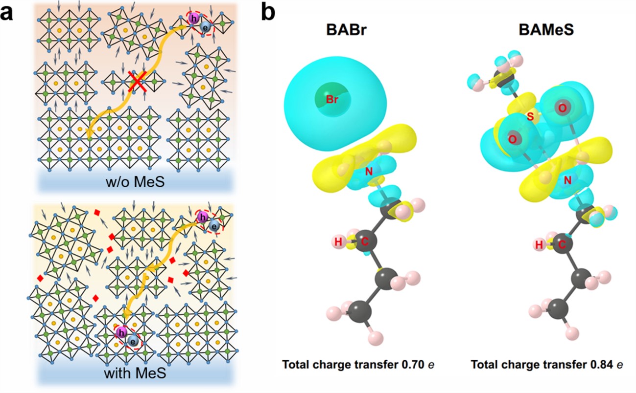 Smoothing energy transfer pathway leads to highly efficient quasi-2D perovskite light-emitting devices