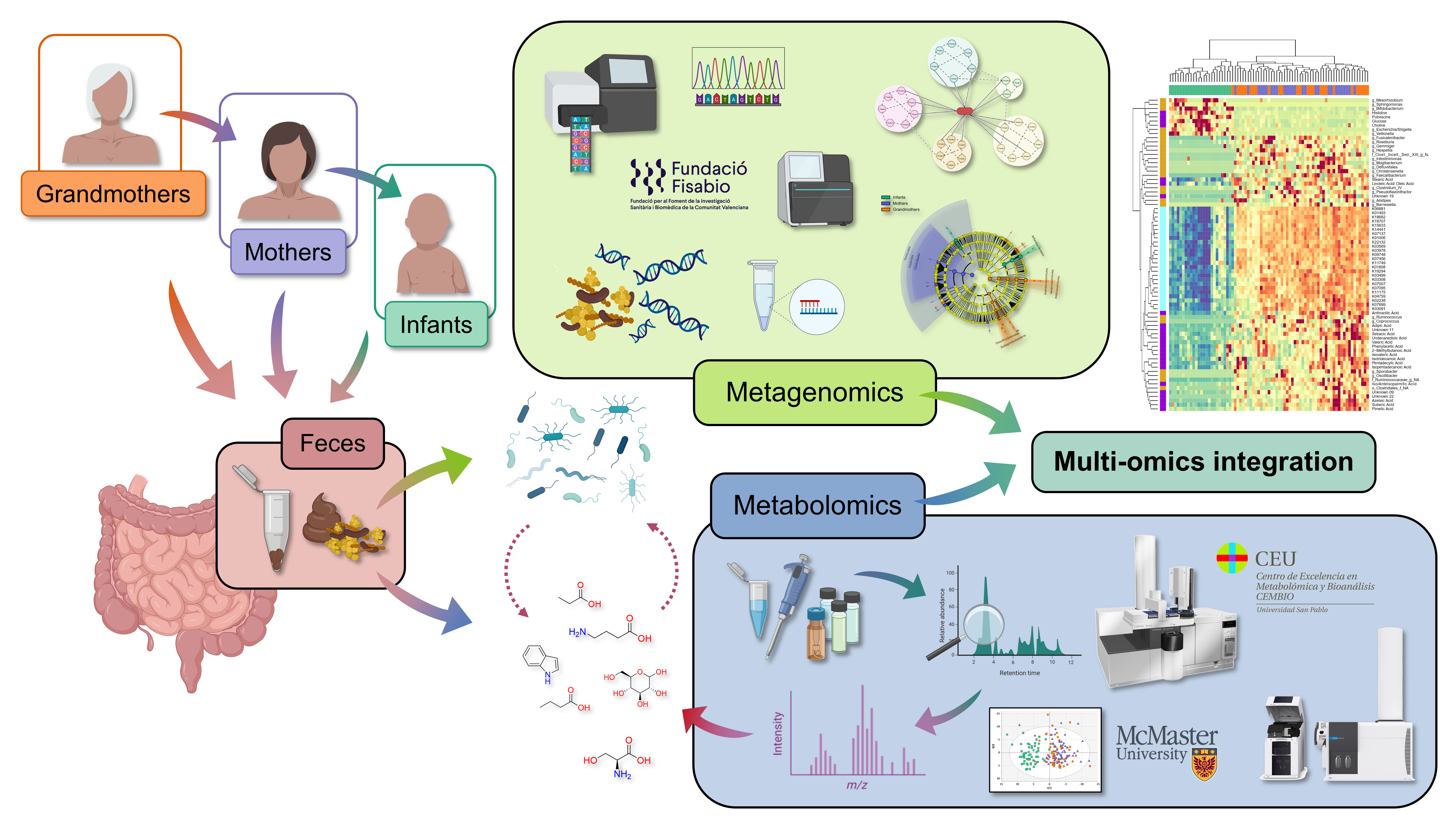 Human gut microbiome and fecal metabolome: a detailed description across three generations reveals the uniqueness of infants vs their elders