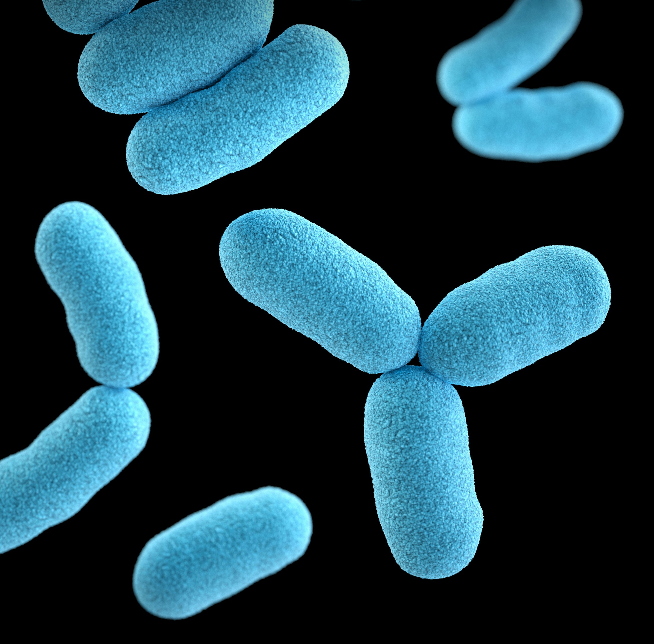 June 2026 Highlights from the Health & Clinical and Life Sciences Research Communities