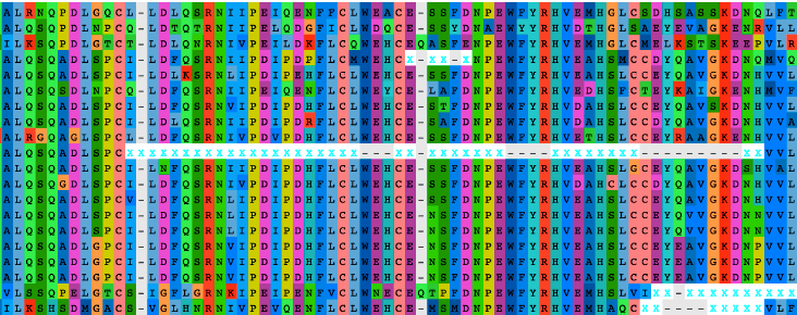 Automated removal of non-homologous sequence stretches in phylogenomic datasets