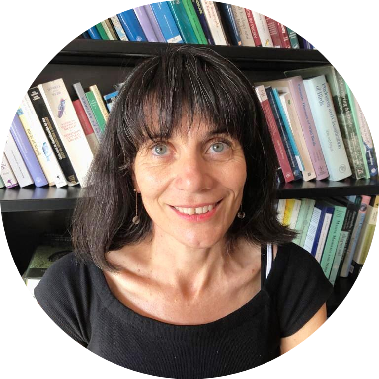 Go to the profile of Paola Laiolo