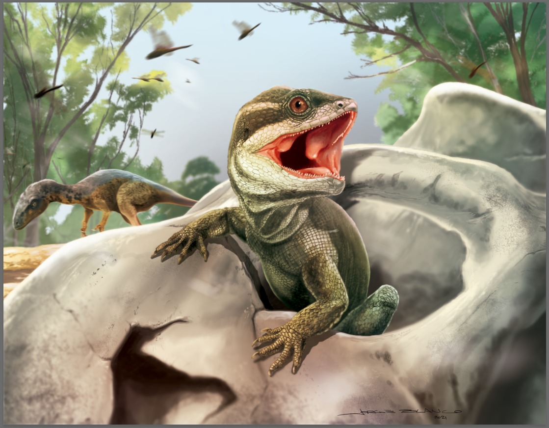 The origins of modern reptiles