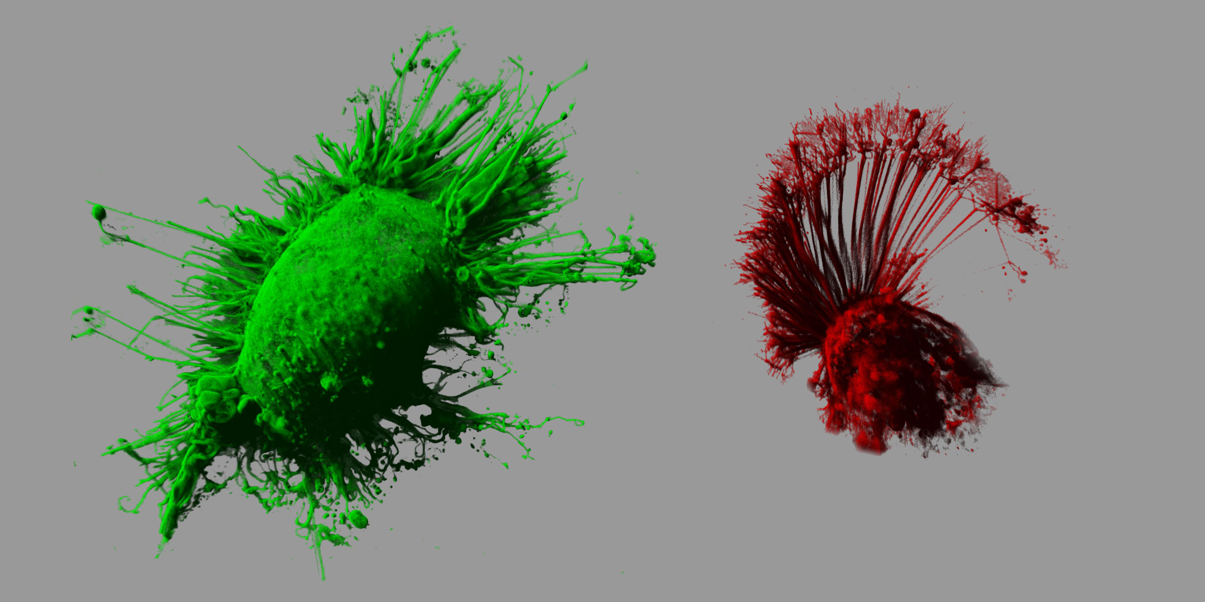 Imaging oligomerization in complex protein populations
