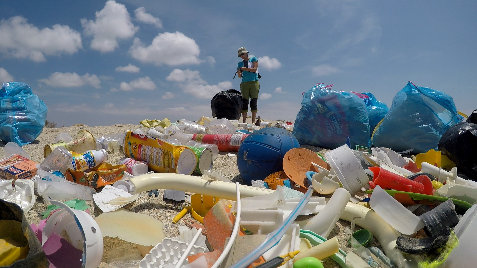 An Inshore-Offshore Sorting System revealed from Global Classification of Ocean Litter 