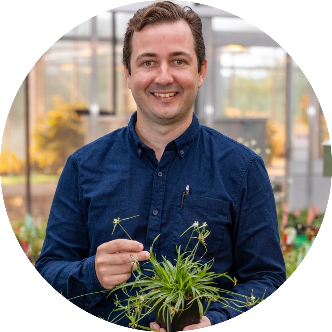 Go to the profile of André Marques