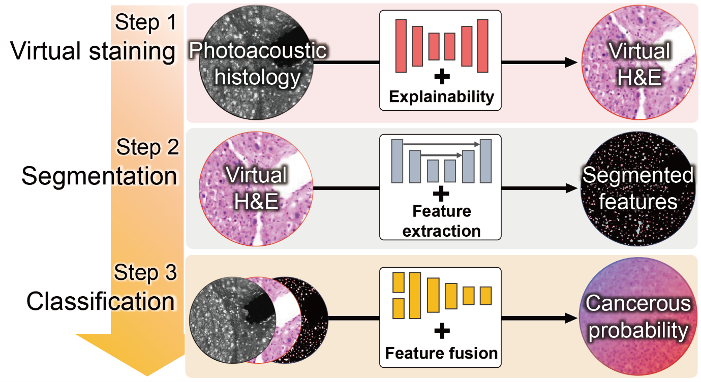 Beyond Conventional Pathology, Label-free Histology Meets AI