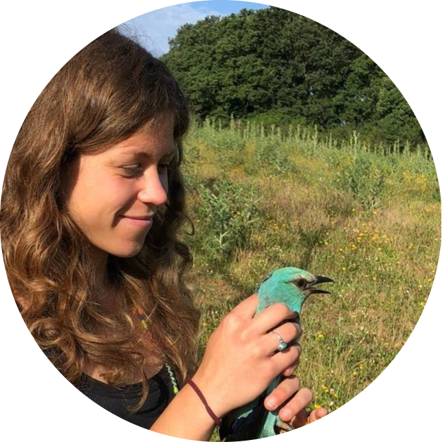 Go to the profile of Chiara Dragonetti