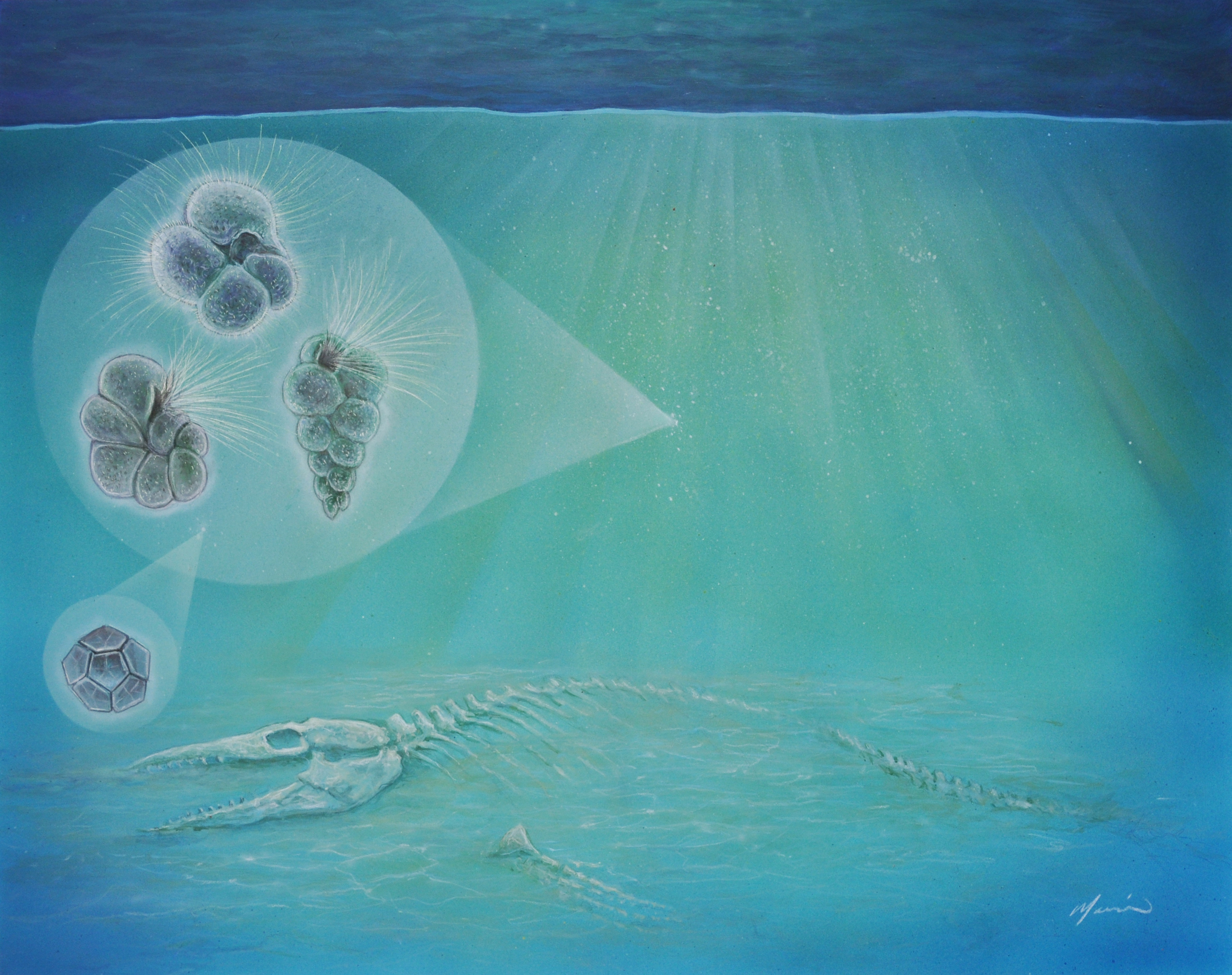Explanation for Delayed Recovery after Mass Extinction Events