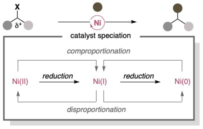 Understanding Electron Transfer Events In Nickel Catalysis