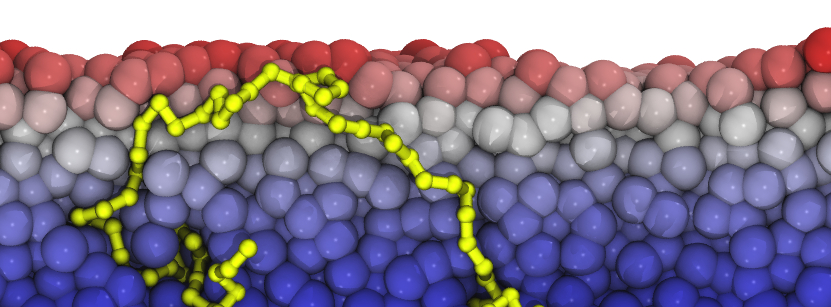 Rubbery Surfaces of Glassy Polymers
