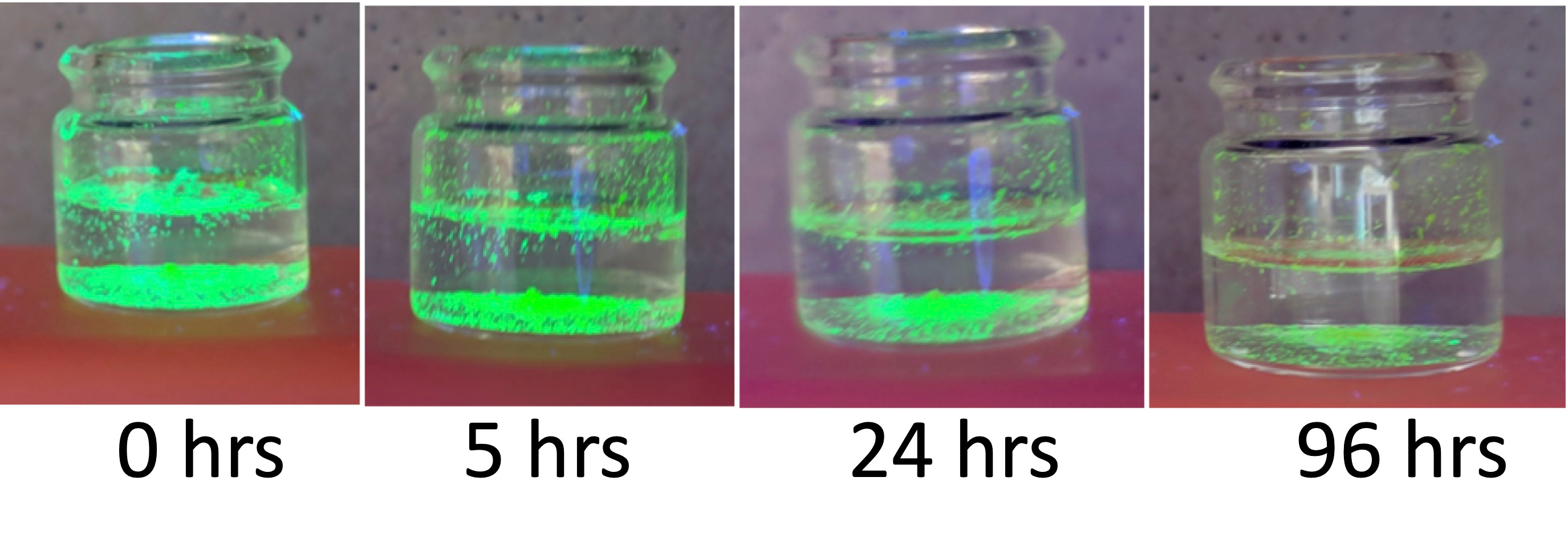 Moisture Tolerant Perovskite Solar Cells: Alloying Stable 2D and Efficient 3D Perovskite Materials