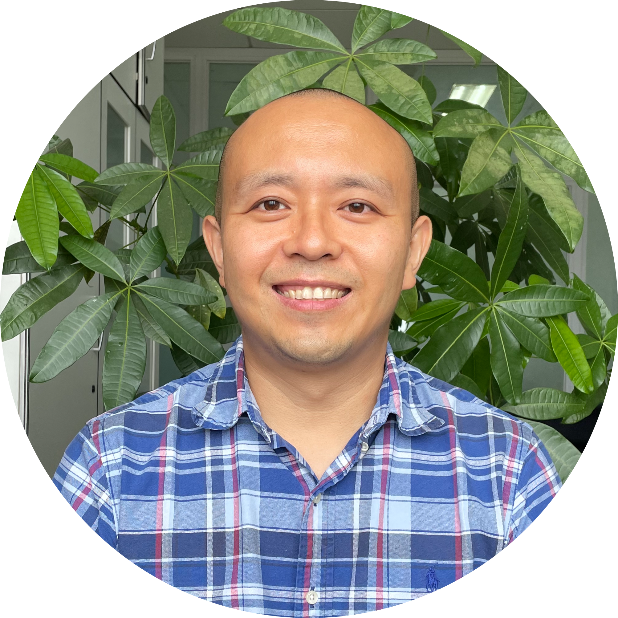 Go to the profile of Yang Bai