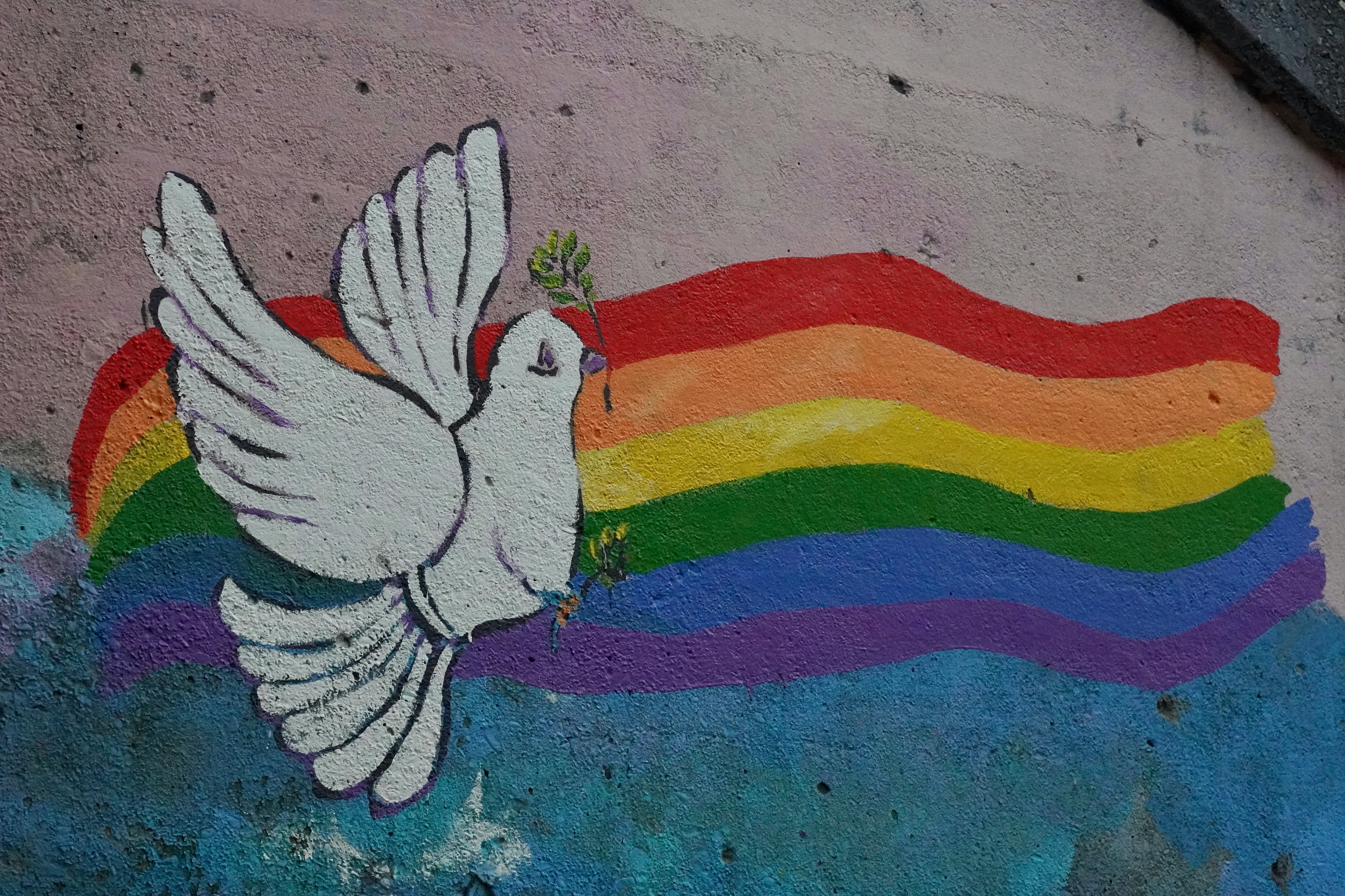 July and August Highlights from the Humanities and Social Sciences Communities      