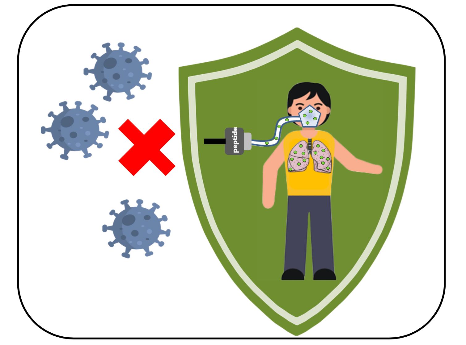 Aerosolization of fusion inhibitory peptide protects monkeys from measles virus infection 