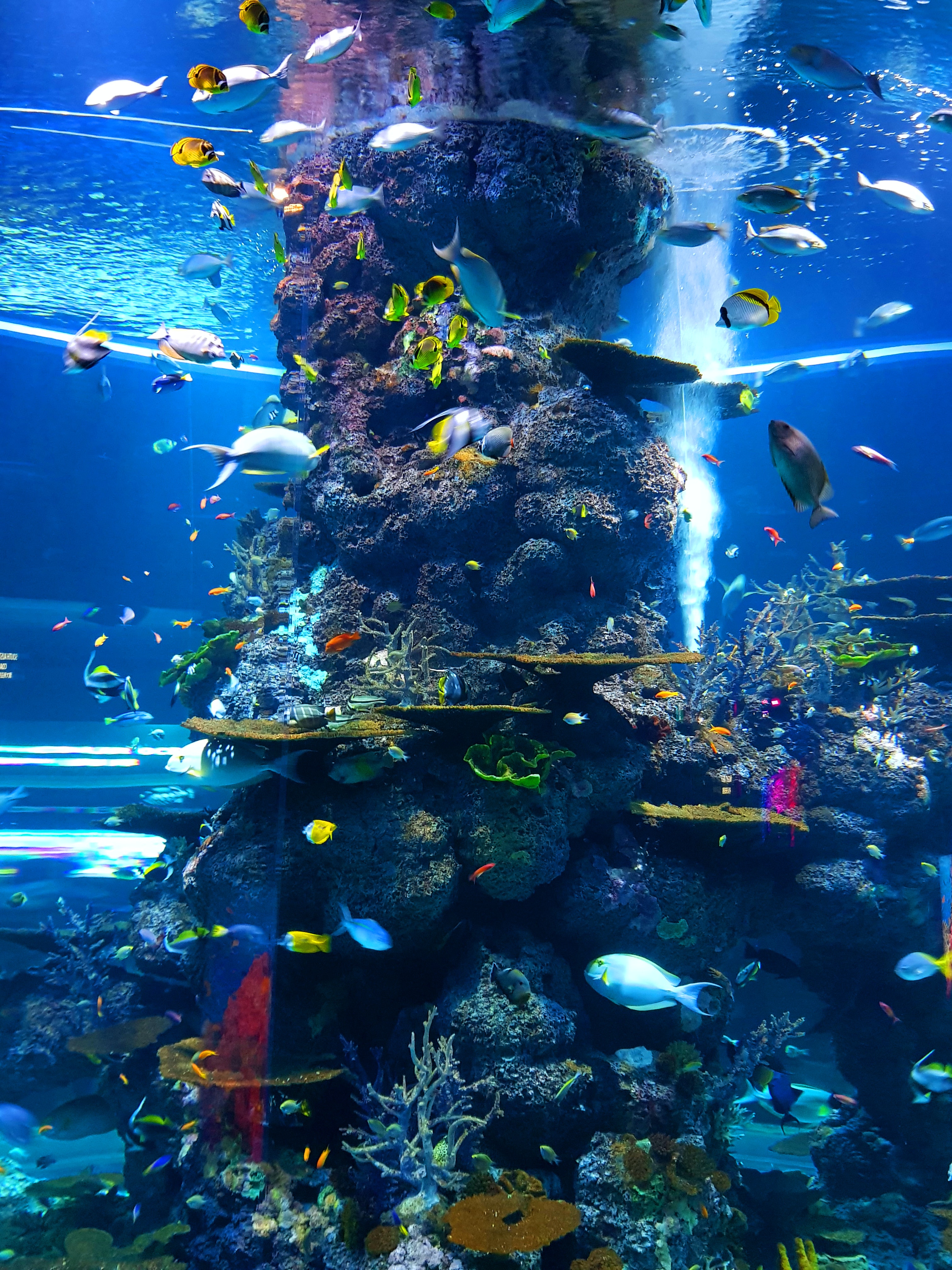Offshore ‘farming’: a win-win for biodiversity?