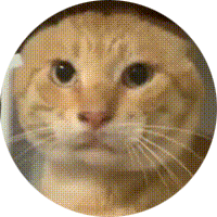 Go to the profile of Renhui Shen