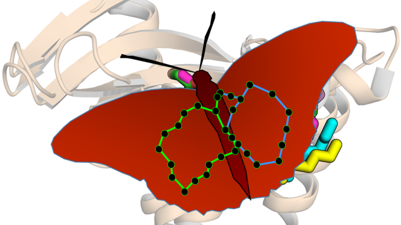 Antibiotic Design Inspired by Nature