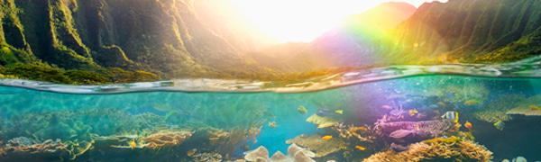 Top 50 articles in Earth & planetary sciences