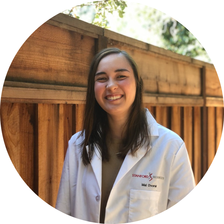 Go to the profile of Mai Dvorak