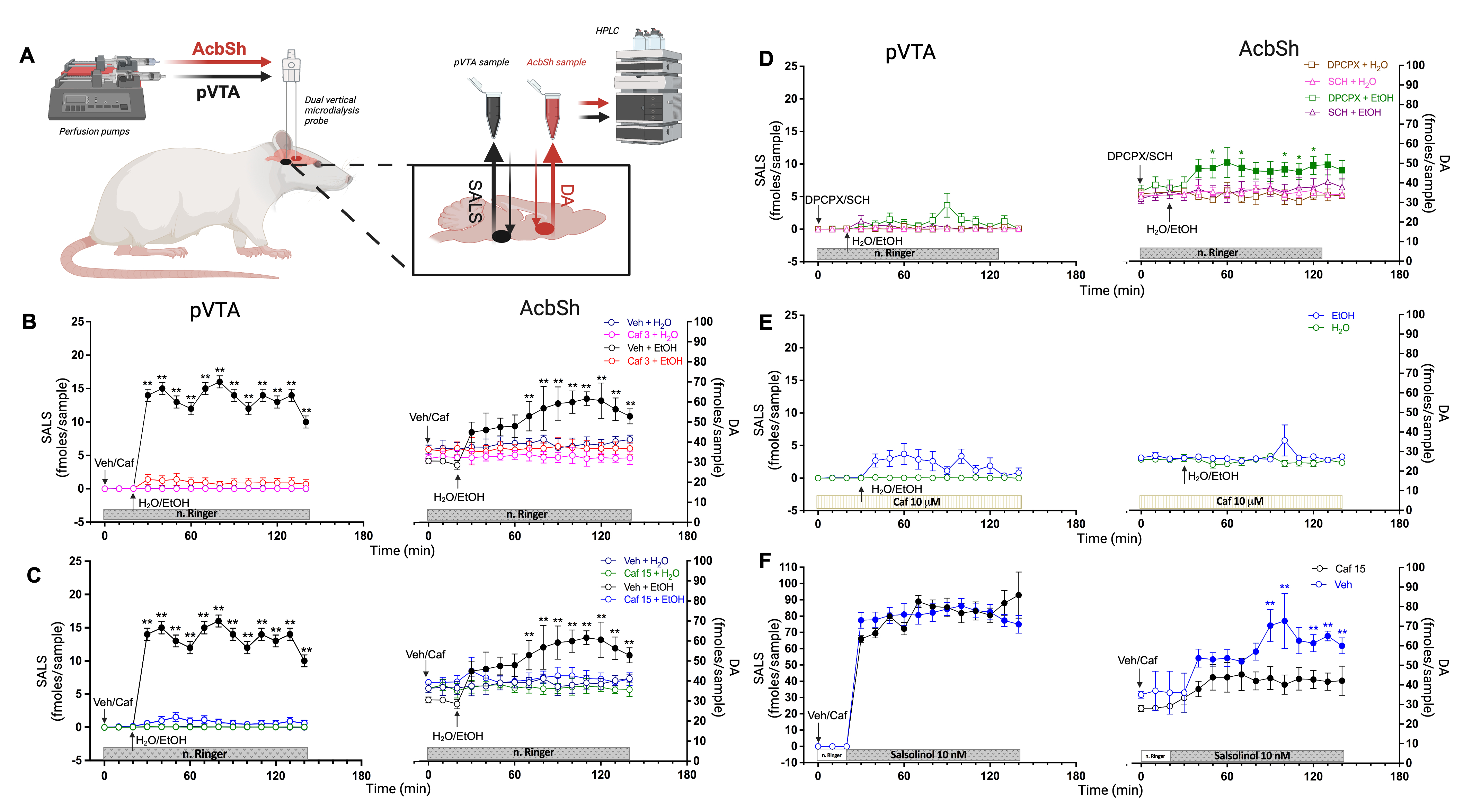 Caffeine prevents alcohol-induced activation of the mesolimbic dopaminergic pathway