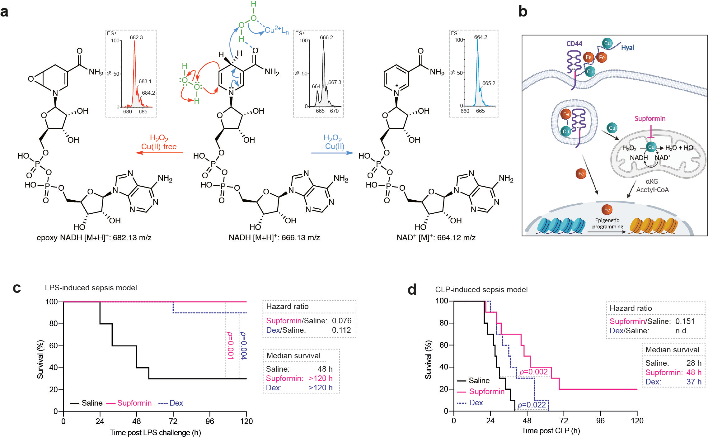 Targeting sepsis and metastases via a common molecular target