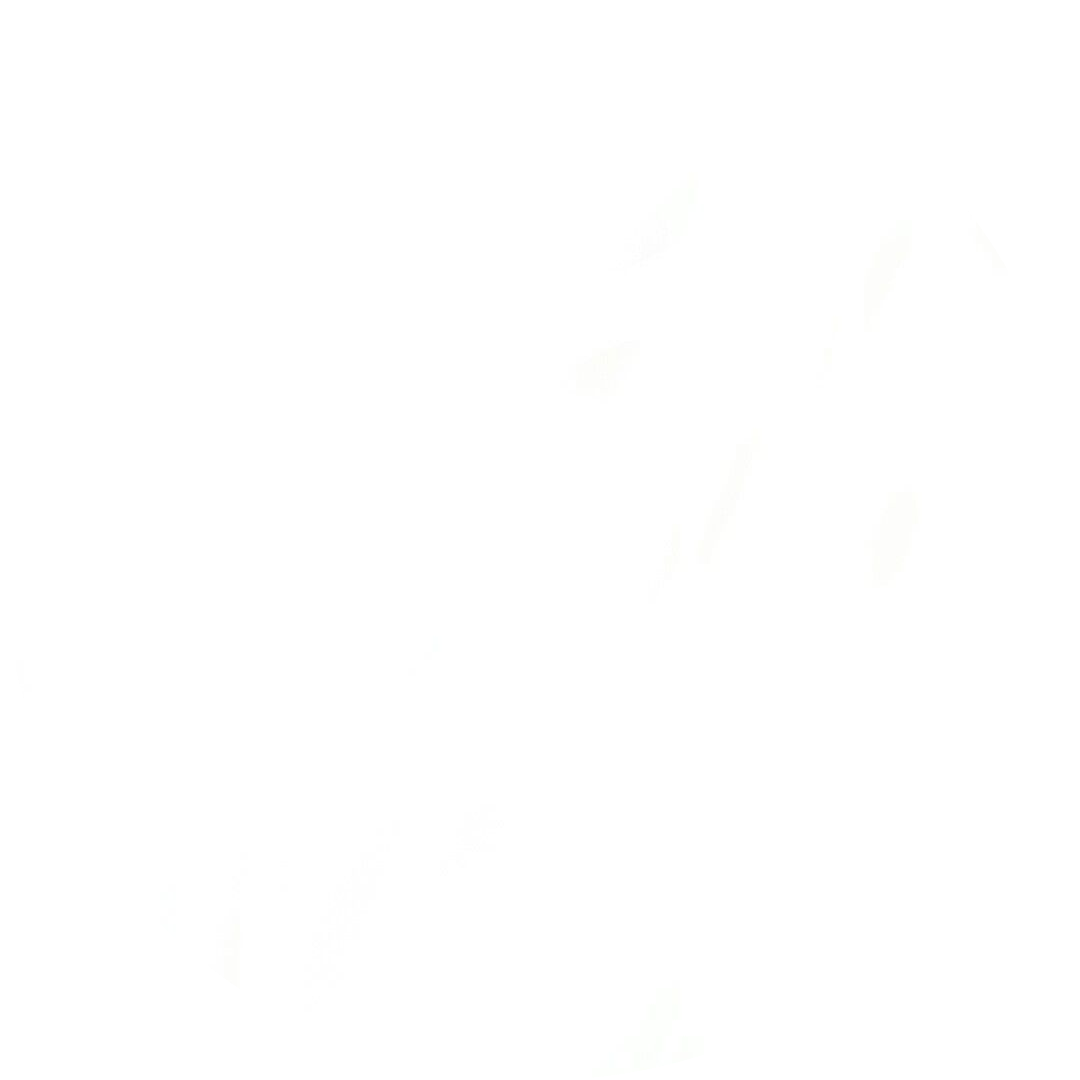 Go to the profile of Seung Ho Shin