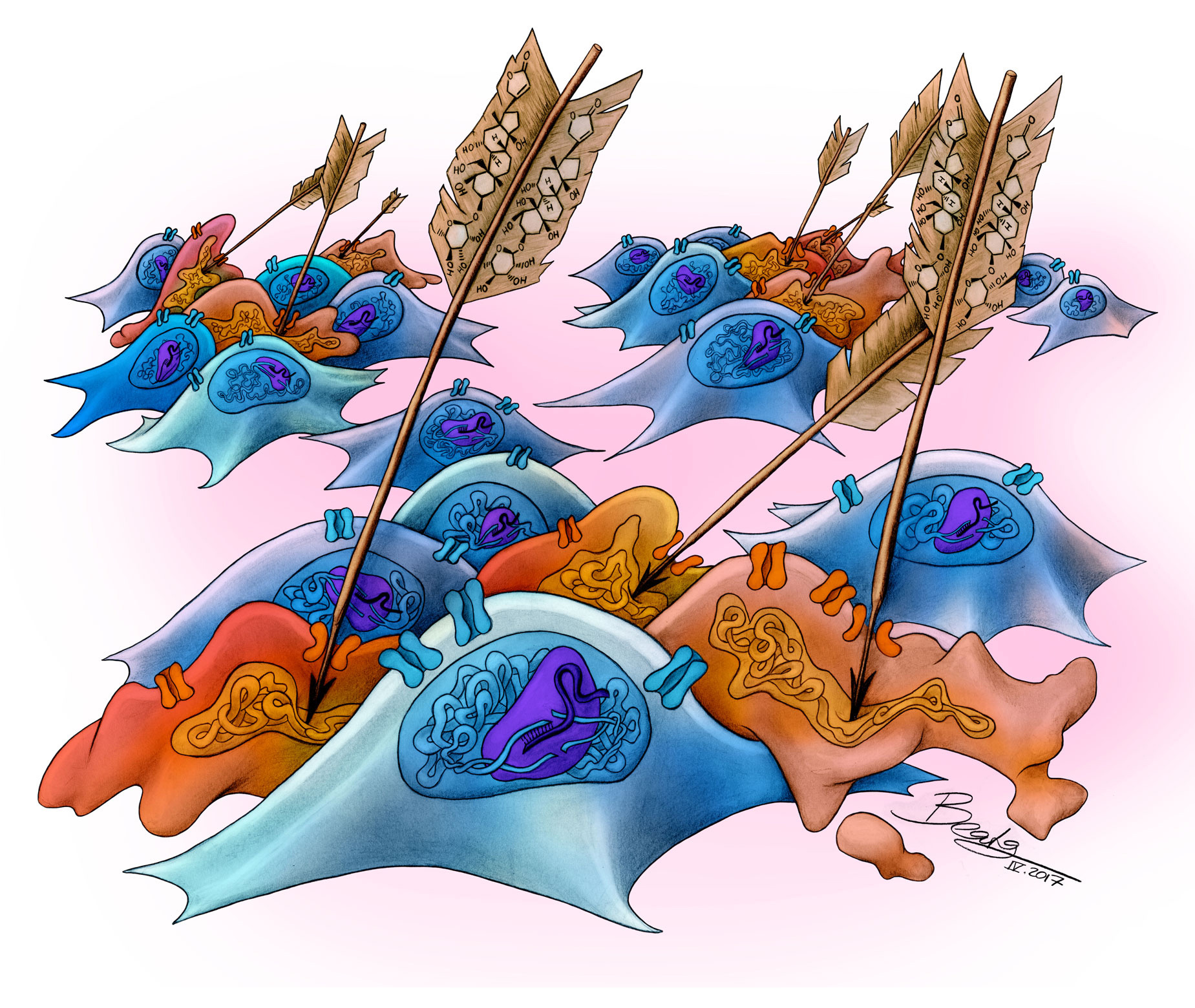 A traditional arrow poison to engineer human cell lines