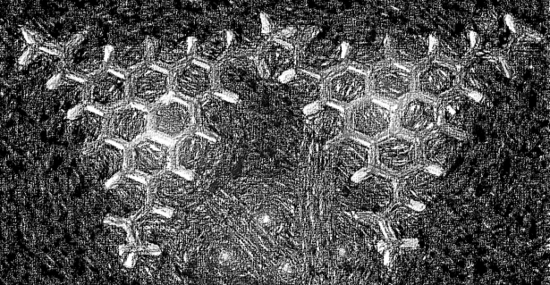 Understanding Spectral Heterogeneity: How Solvent Selection Influences Supramolecular Nanostructures in Thin Films