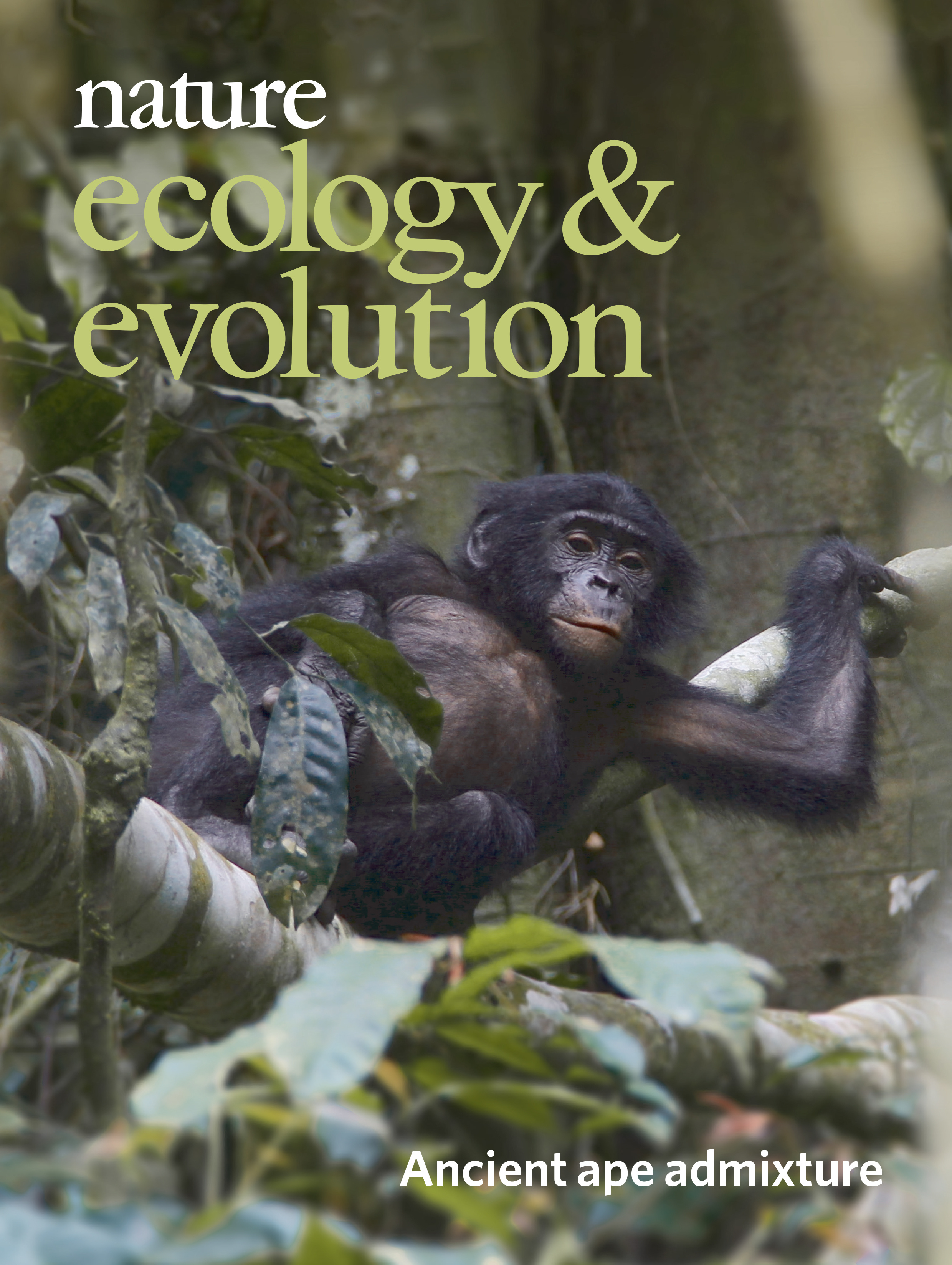 Gallery | June 2019 cover