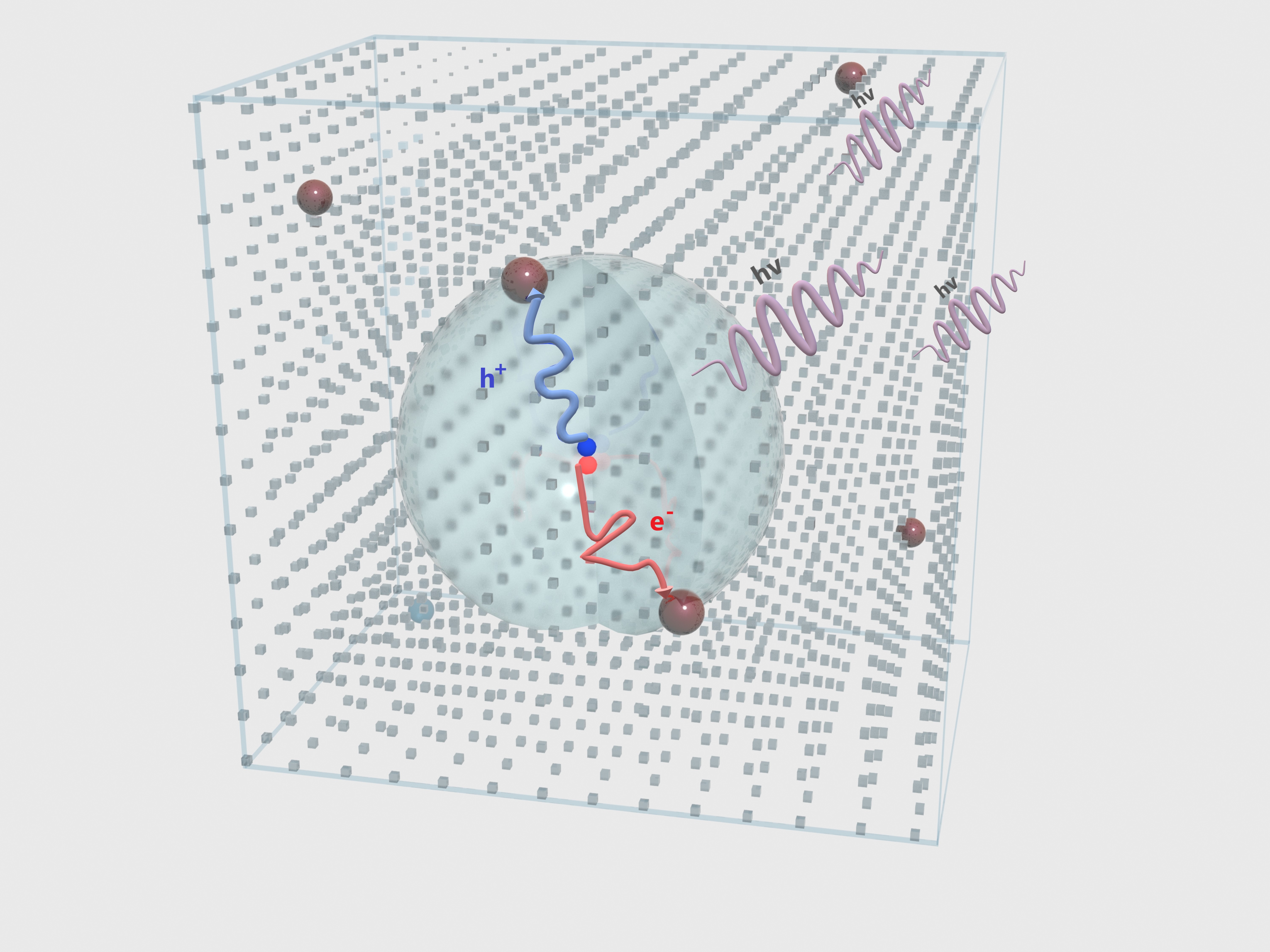 Quantum dot reporters enable accurate diffusion length measurement in perovskite single crystals
