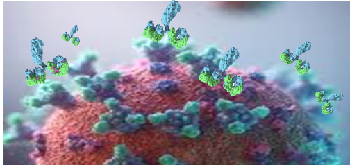 A new generation of drugs: recombinant polyclonal antibodies for the treatment of human diseases