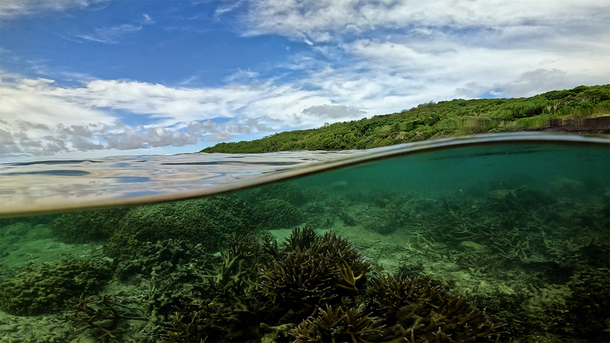 Implementing the Global Biodiversity Framework