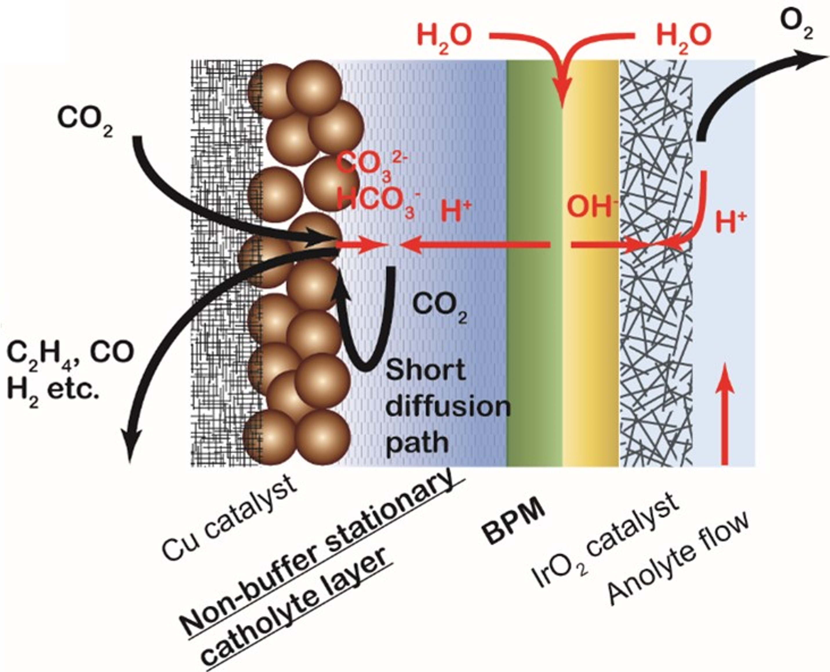 Bipolar membrane electrolyzers enable high single-pass CO2 electroreduction 