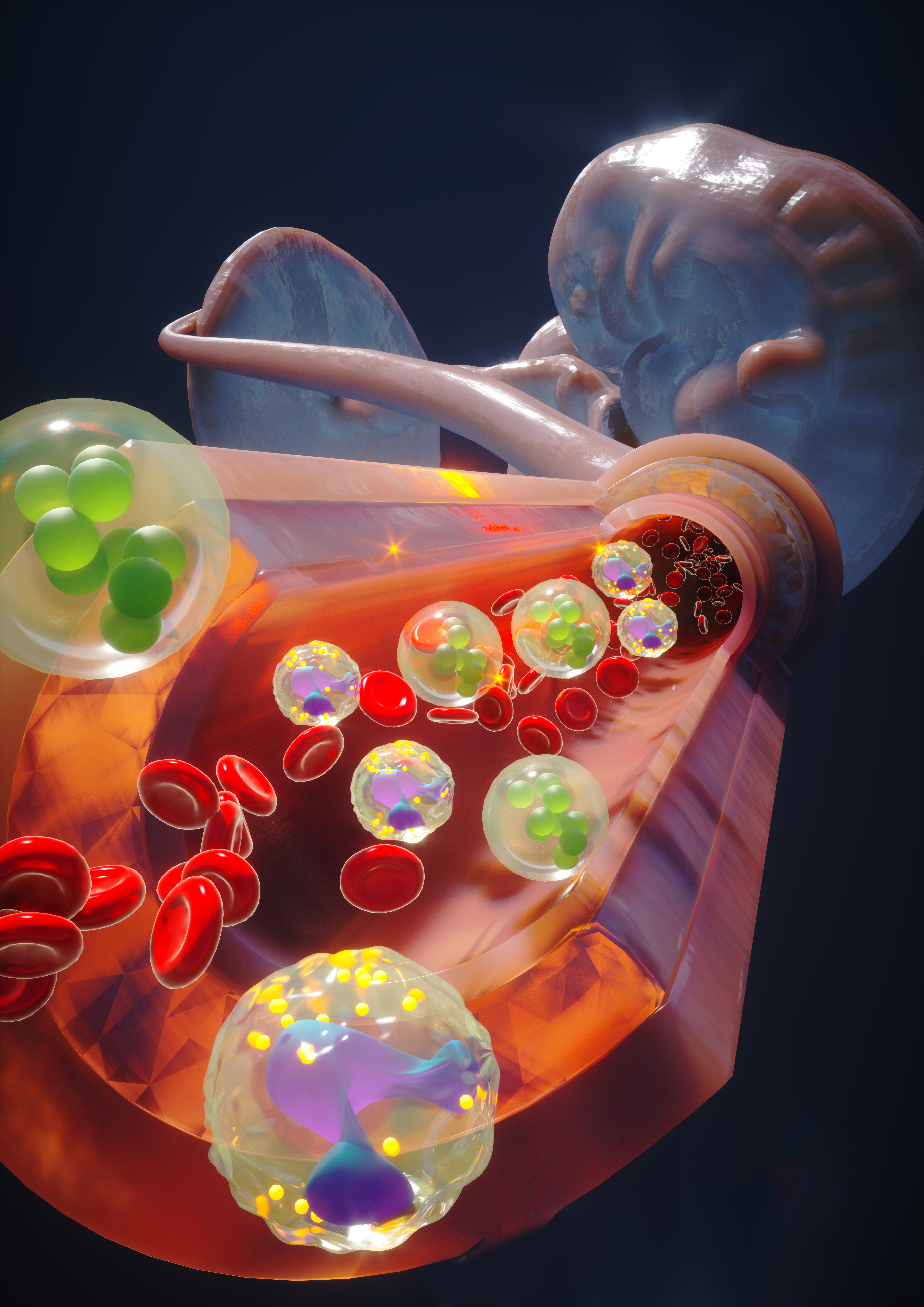 Organoids meet single-cell and spatial omics