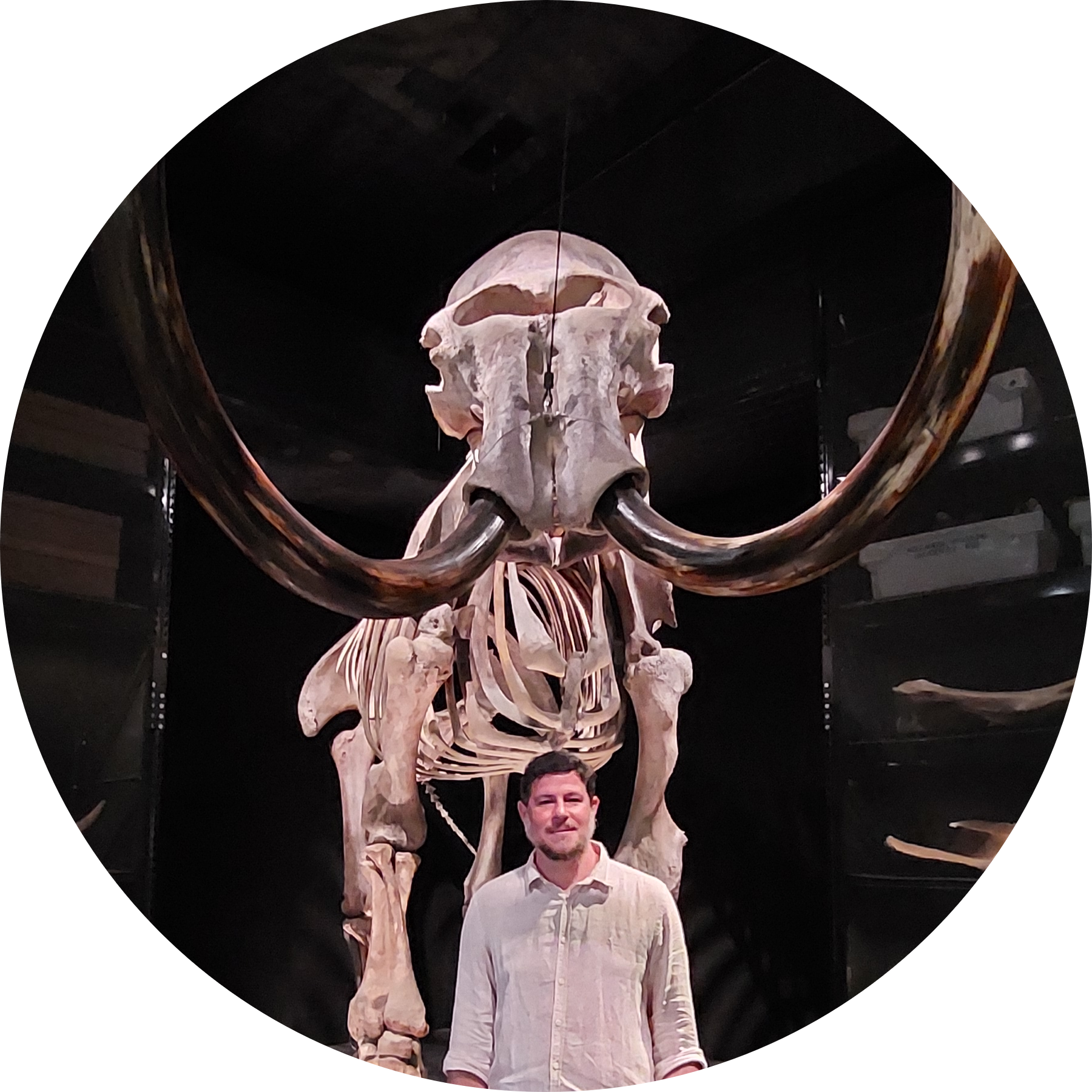 Go to the profile of Bruno Garcia Luize