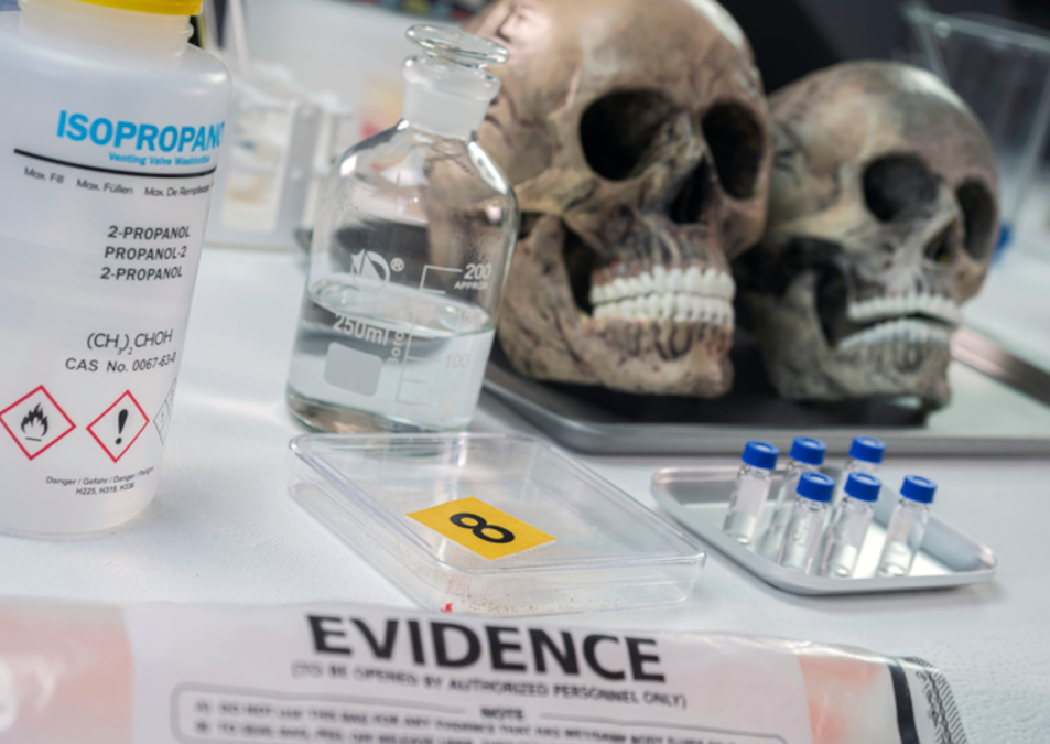Call for papers: Forensic dentistry