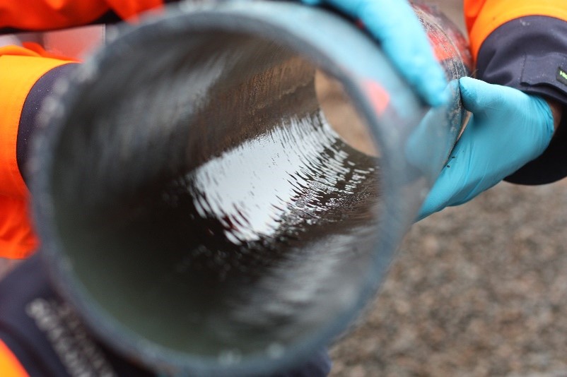 Let it go, let it go: the release of bacteria from biofilms in drinking water pipes.
