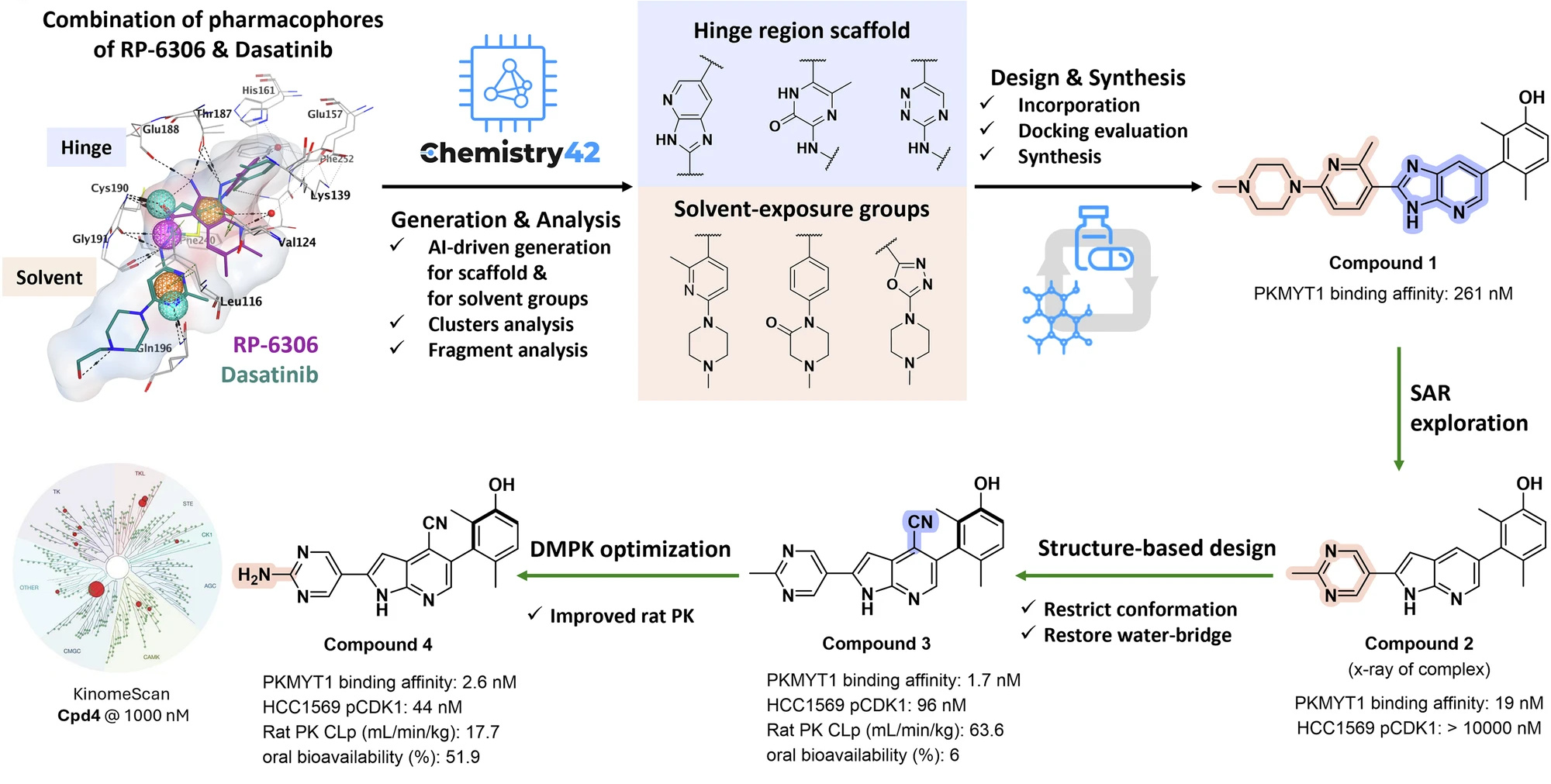 Using AI to Engineer a Dual-Action Degrader for Synthetically Lethal Cancer Targets