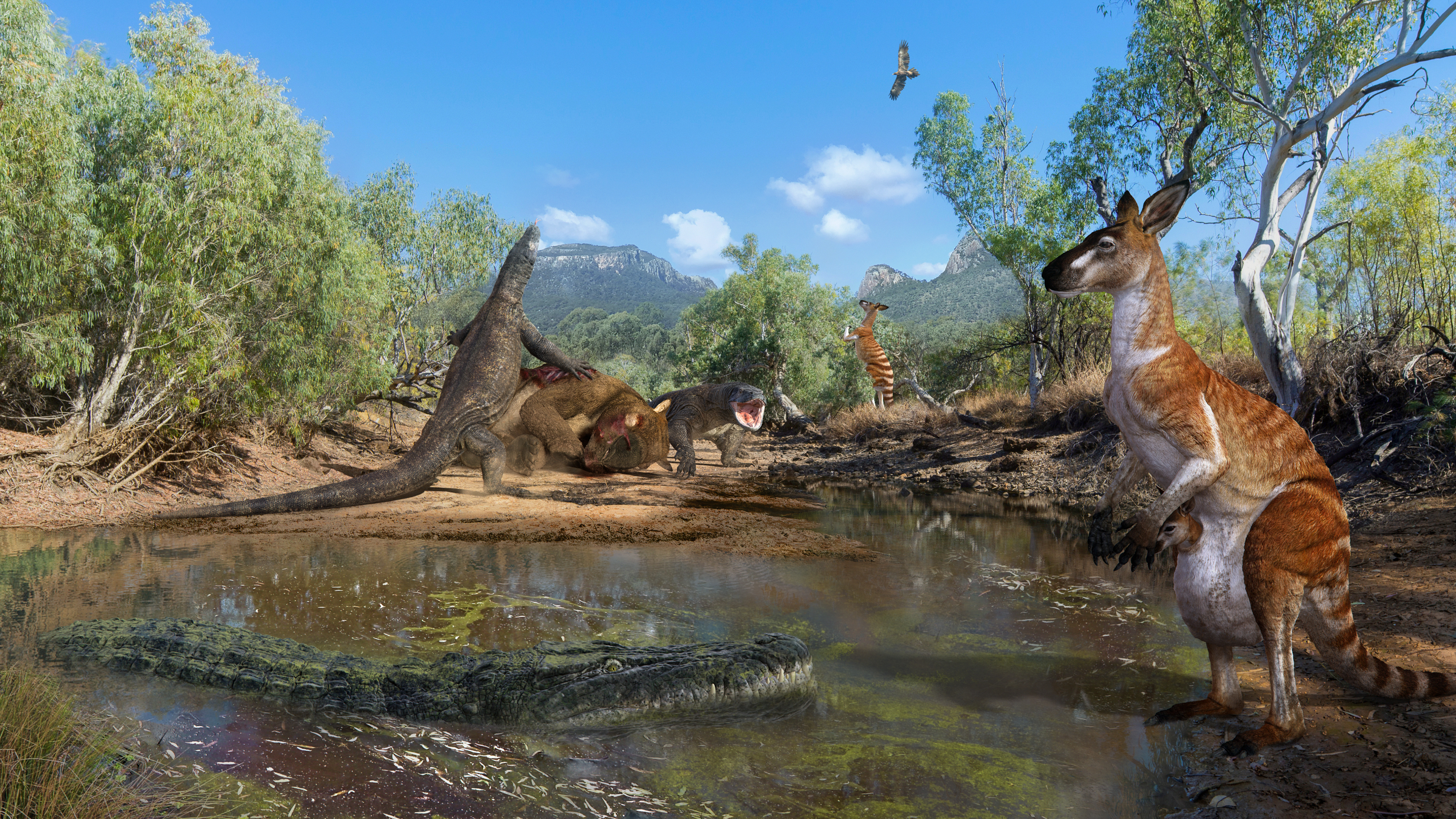 Life and death in tropical Australia, 40,000 years ago.