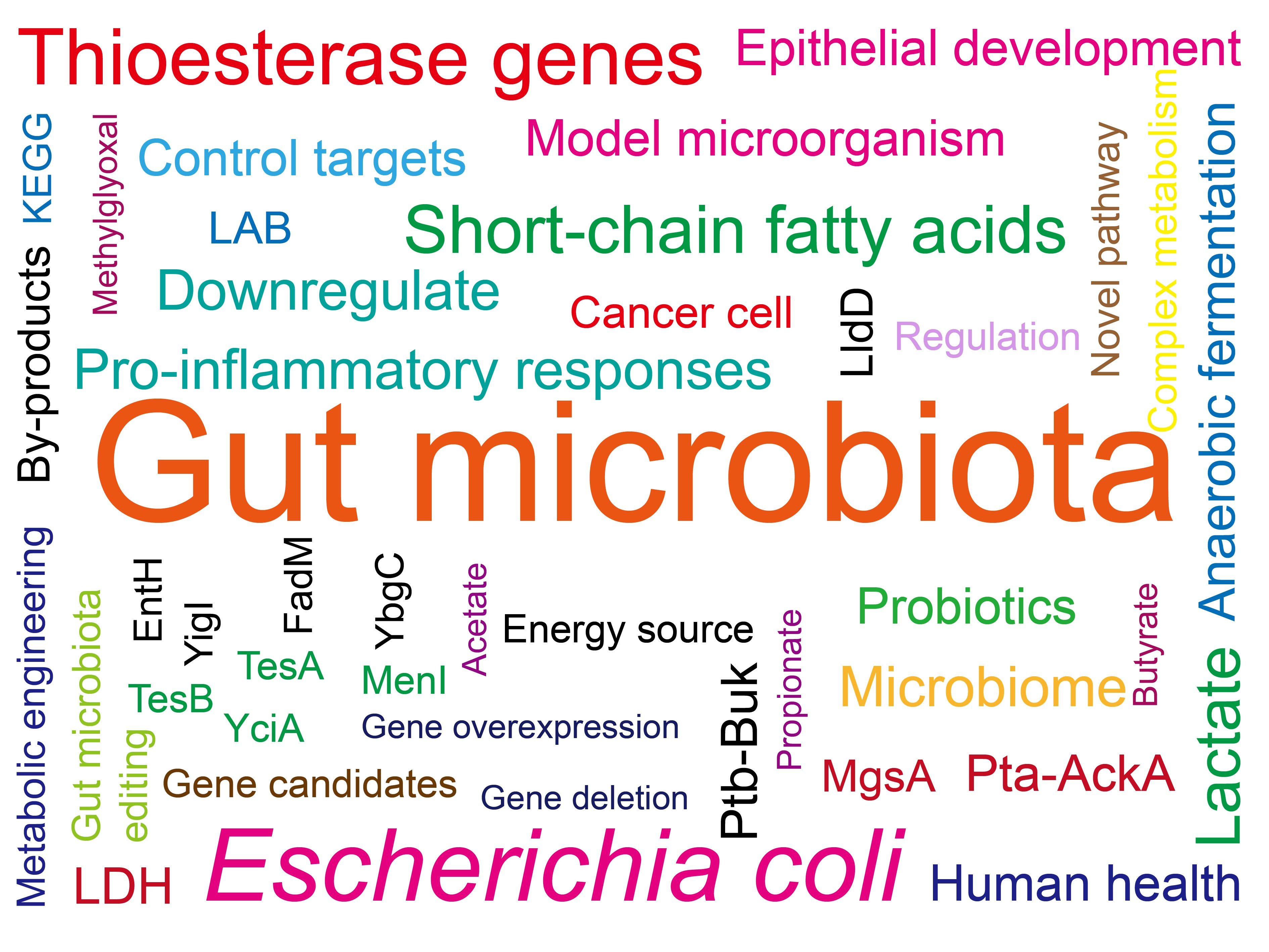 To discover more probiotics among gut microbiota