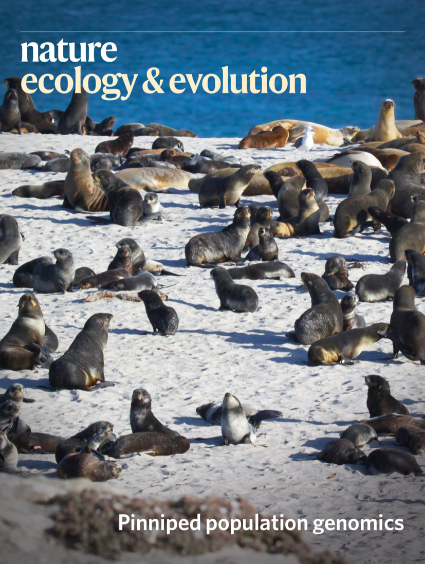Gallery | August 2020 cover