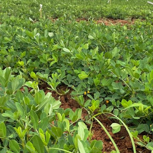 Go to the profile of Manish K. Pandey