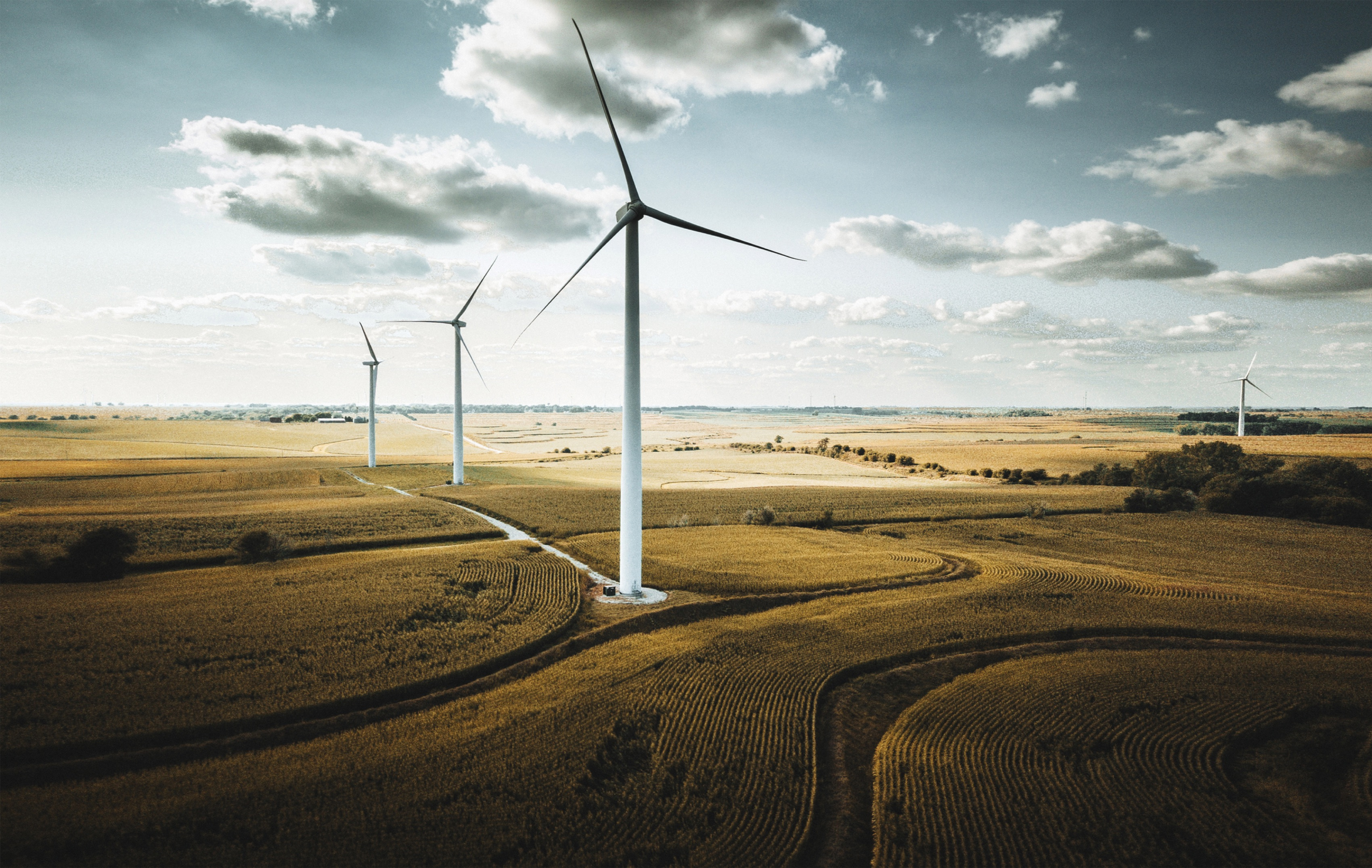 Wind turbines make good neighbors