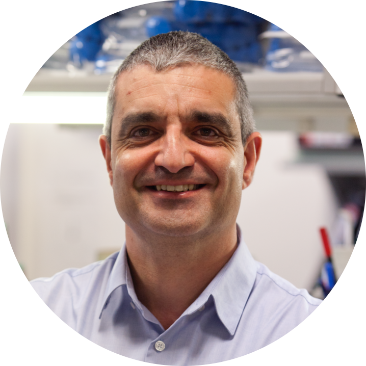 Go to the profile of Xose R Bustelo