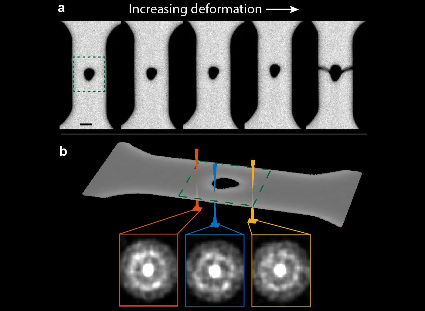 Measuring nanostructural change during deformation in a metallic glass