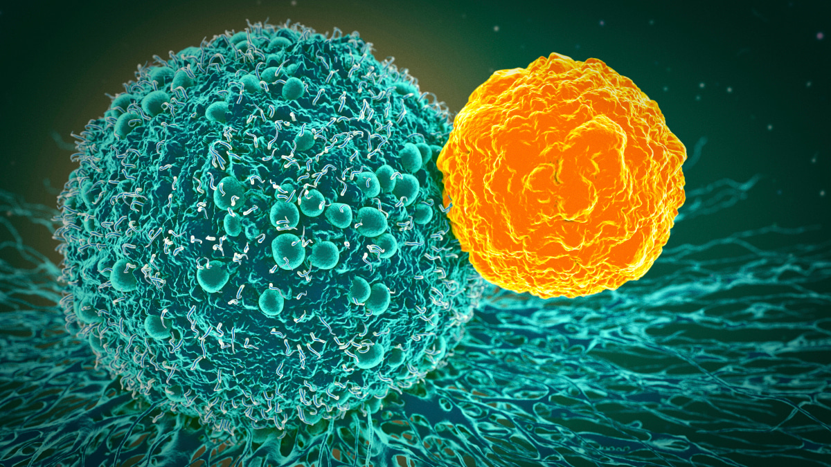 Exploring Cancer Research and Precision Medicine Through Nature Portfolio Cross-Journal Collections